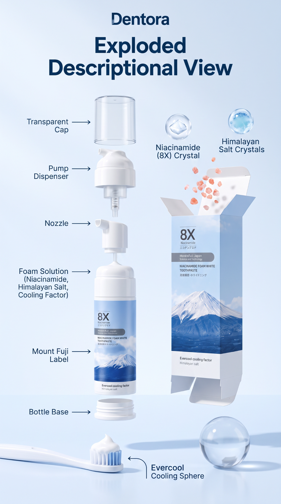 Dentora exploded descriptional view illustration showing the pump bottle, transparent cap, packaging and labelled details.